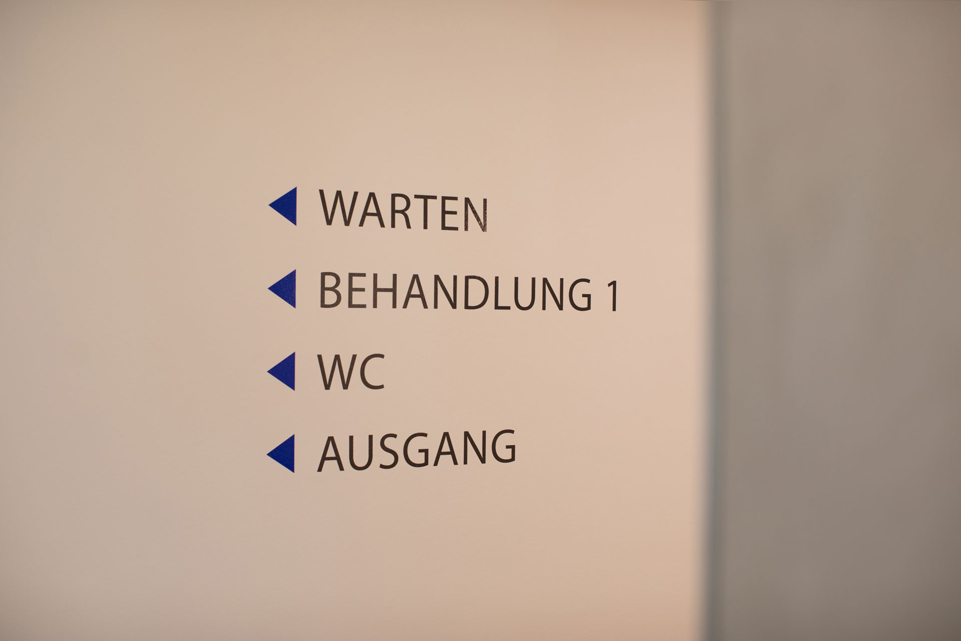 Zahnarztpraxis Roßmann Pirna Wandgestaltung Orientierung